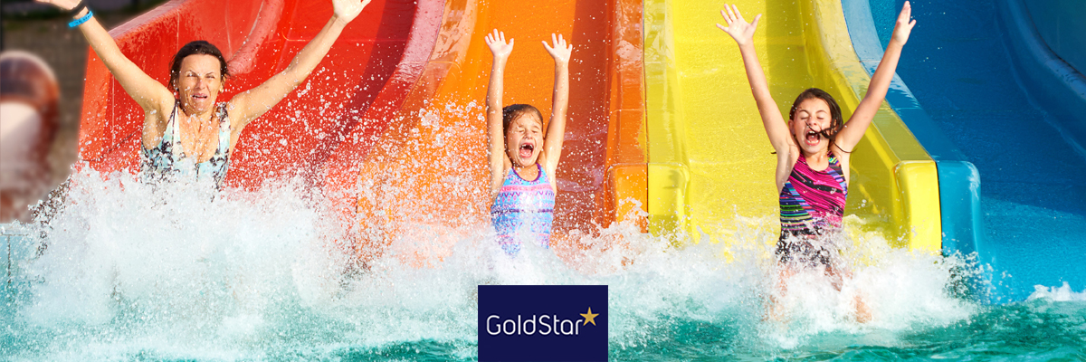 Gold Star summer holiday BANNER.jpg