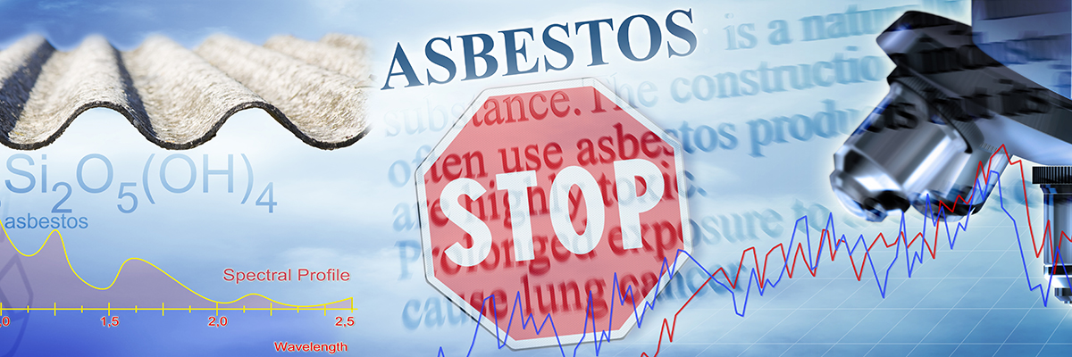 Asbestos removal campaign iParl BANNER.jpg