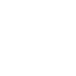 Statistics - phone ICON