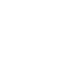Statistics - padlock ICON.png