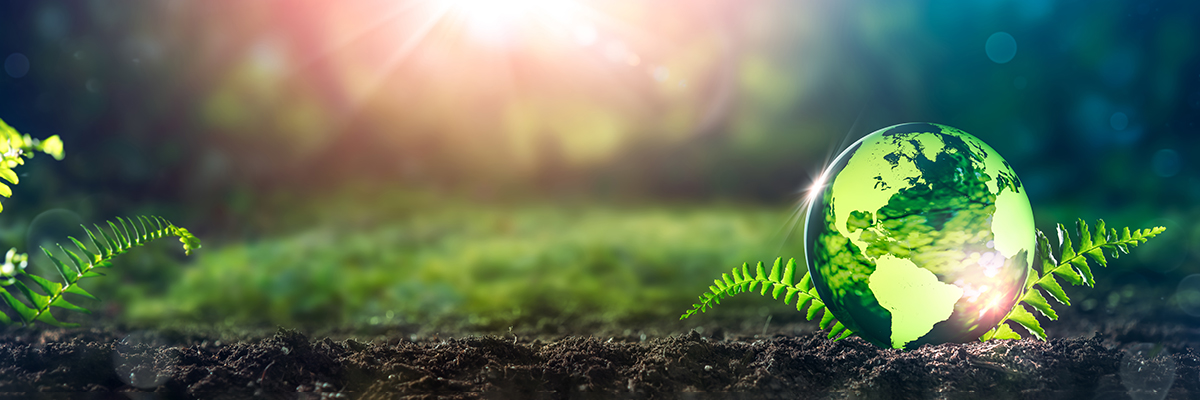 Sustainability and climate change strategy England BANNER