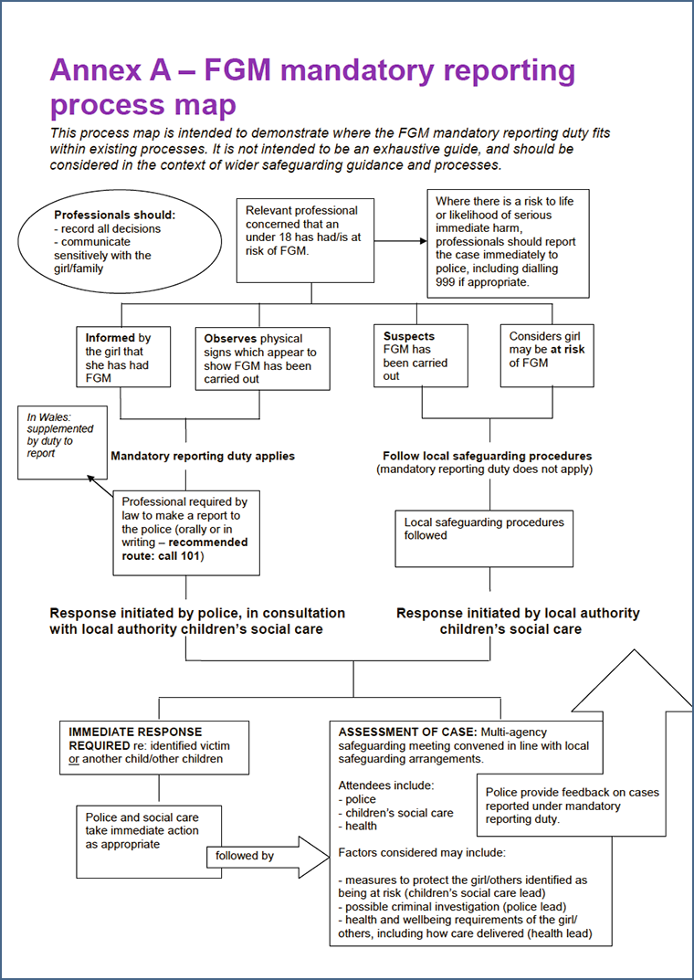 FGM mandatory reporting process map